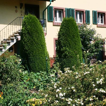Dani'S Ferienwohnung Freiamt Exterior photo