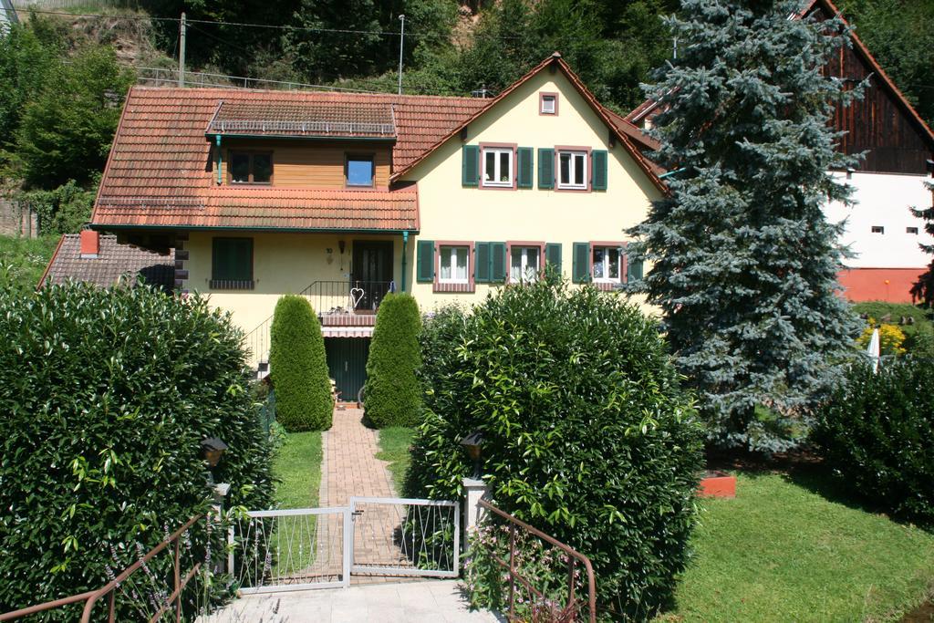 Dani'S Ferienwohnung Freiamt Exterior photo