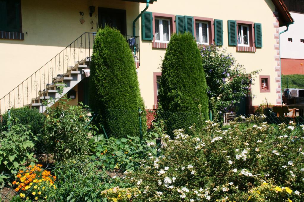 Dani'S Ferienwohnung Freiamt Exterior photo